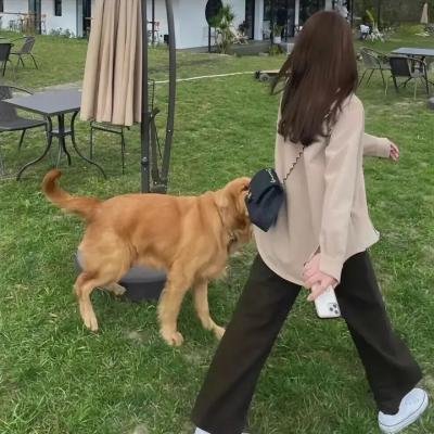 梦想家约瑟夫