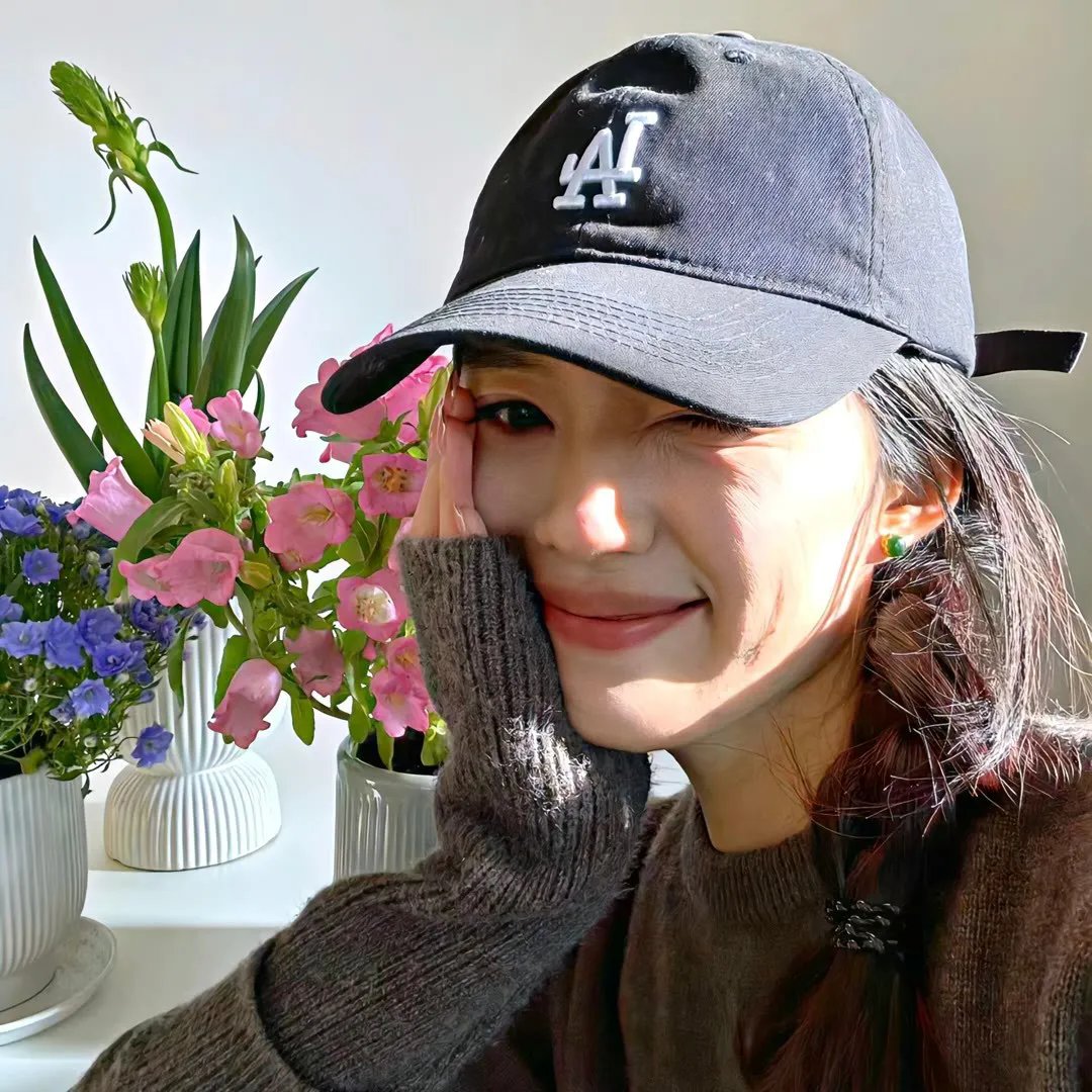 影子拳手